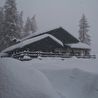 Paesaggio invernale dell'Etoile de Neige 0414 - PH P. Chiaramello